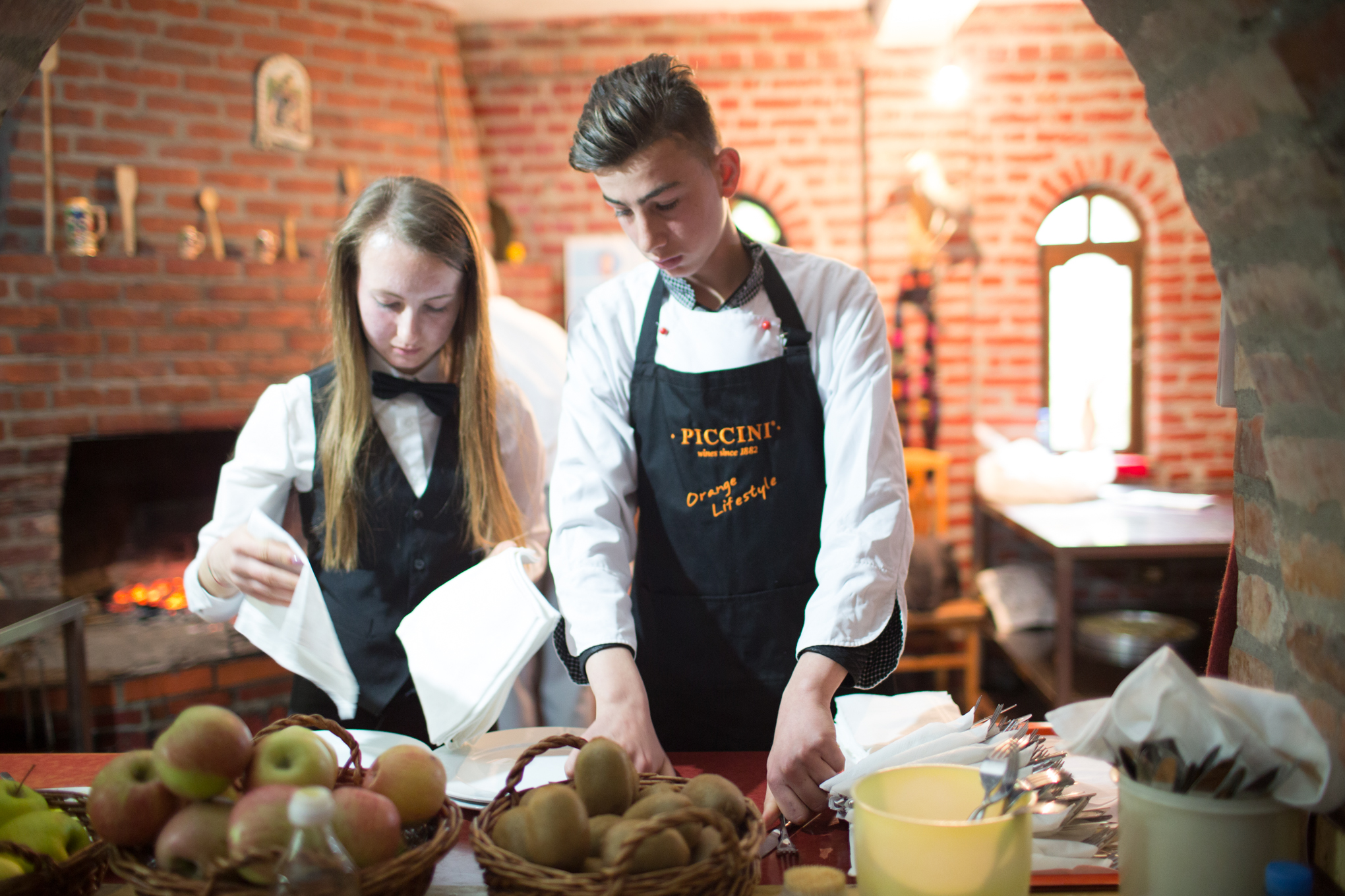 SUPPORTING COMPANIES IN ALBANIA TO PROVIDE QUALITY APPRENTICESHIPS